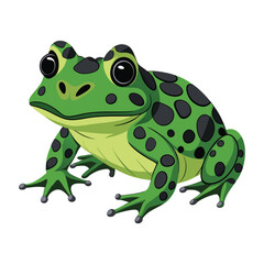 A textured, moss-like frog with dark blotches and suction-cup toes is isolated against a stark white background.