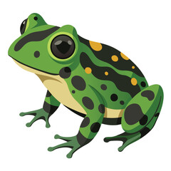 A textured, moss-like frog with dark blotches and suction-cup toes is isolated against a stark white background.
