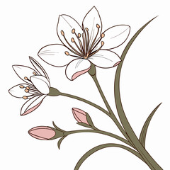Flower vector illustration
