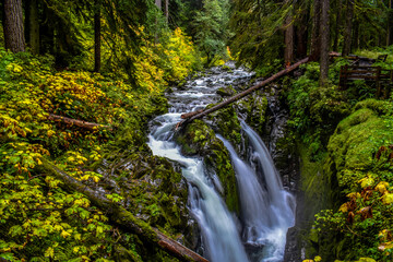Sol Duc Falls in autumn, Olympic National Park, Washington