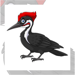 Cartoon woodpecker bird on white background