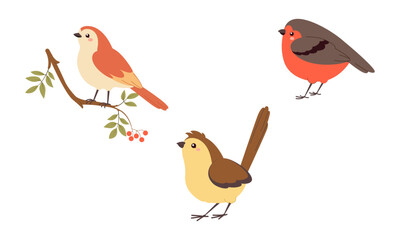 Set of cute birds. Colorful forest birds in flat style, perfect for children's books, educational materials, greeting cards and wall art.