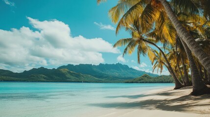 Fototapeta premium Serene Tropical Beach with Palm Trees and Calm Turquoise Water