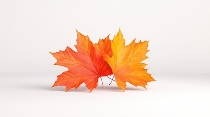 Vibrant autumn leaves against a plain background.  Detailed autumnal foliage, orange and red hues, close-up view, studio shot