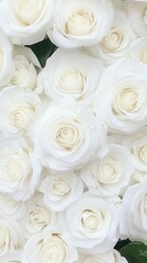 Obraz premium Many dewy, white roses tightly clustered.