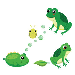 The metamorphosis of a frog is depicted in a sequence of stages, from tadpole to juvenile frog, against a white background.
