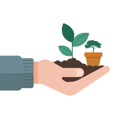 Hand holding young plant seed vector image, plant care concept flat illustration, hand carrying plant pot, small tree on human hand isolated on white