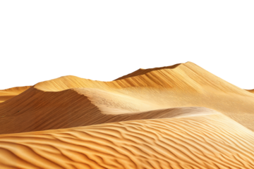 Smooth golden sand dunes with flowing curves and soft texture in a desert landscape isolated on transparent background