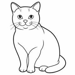 british shorthair cat line drawing