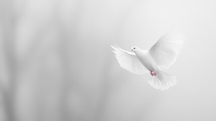 White dove soaring, misty forest background, peace symbol, memorial card