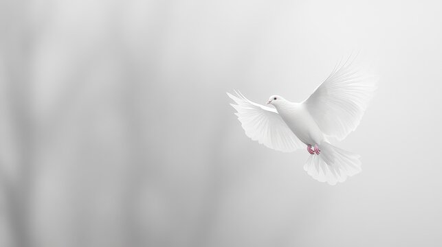 White dove soaring, misty forest background, peace symbol, memorial card