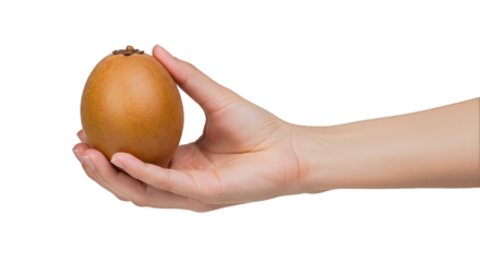 A person's hand holds a single, ripe brown kiwifruit against a pale background.
