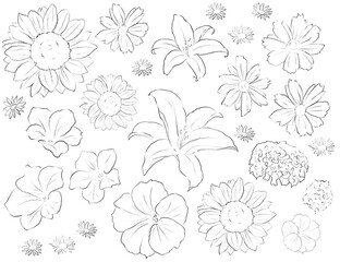 wild flower repeating pattern for fabric printed