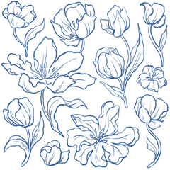Bold red parrot tulip pattern sketch, perfect for vibrant floral designs, textiles, and nature-themed projects.	