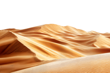 Smooth golden sand dunes with flowing curves and soft texture in a desert landscape isolated on transparent background