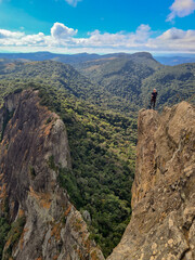 White-haired man on top of mountain in region covered in native forest