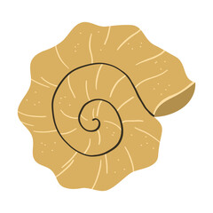 Illustration of a Spiral Seashell