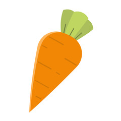 Cartoon Carrot Illustration