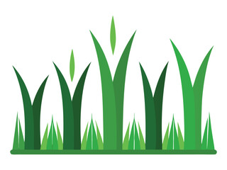 Fototapeta premium Green Grass Blades: Stylized illustration of vibrant green grass blades, suggesting growth, nature, and freshness.