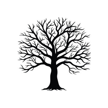 A leafless tree silhouette in detailed vector art, ideal for winter and dead tree design. This tree silhouette offer a unique and awesome visual