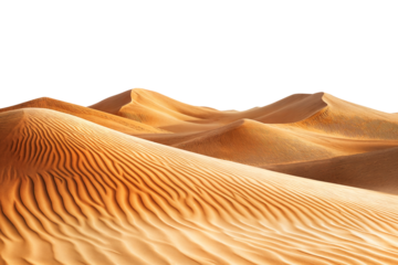 Golden sand dunes with smooth curves and texture isolated on transparent background