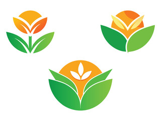 Floral Sunrise Logos: Three unique logo concepts showcase stylized floral designs with the rising sun, radiating natural beauty, and organic growth. 