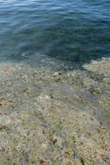 mucilage on the sea surface, environmental disaster. kadikoy, istanbul, turkey.