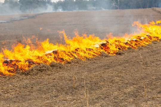 Fire burning along a windrow of straw in a paddock