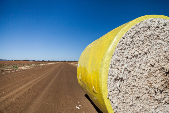 Copy space beside round cotton bale on outback farm