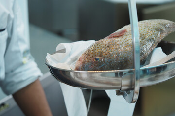 Freshly caught fish being weighed in a culinary kitchen setting