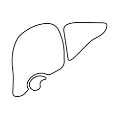 Liver line icon