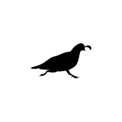 Quail Birds Silhouette