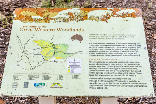 Norseman, Western Australia - 04 15 2025: An interpretive sign with information about the Great Western Woodlands.