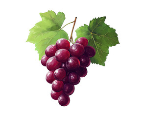 Obraz premium Red Grapes Cluster
