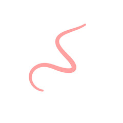 Pinworm parasite icon