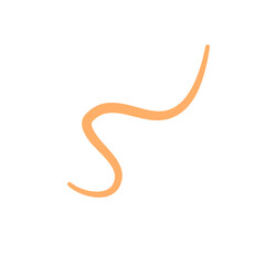 Pinworm parasite icon