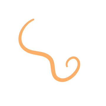 Pinworm parasite icon