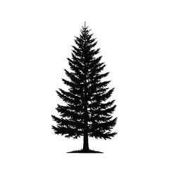 Eastern white pine silhouette. This image depicts the silhouette of an eastern white pine tree with needle-like foliage and symmetrical shape. Vector clipart illustration design.