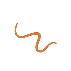Ascaris parasitic worm vector