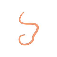 Ascaris parasitic worm vector