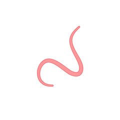 Ascaris parasitic worm vector