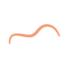 Ascaris parasitic worm vector