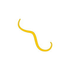 Ascaris parasitic worm vector