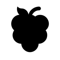 Raspberry Icon Vector Illustration