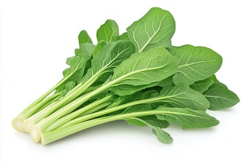 Chinese Cabbage isolate on white background.