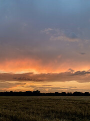 Sunset over harvested rural field with tree line and dramatic colorful sky