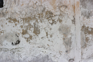 Old house wall. The walls are unkempt, the paint is peeling and has mold spots, suitable for use as a horror theme background. Copy space area
