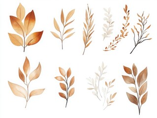 Naklejka premium Autumn leaf design assortment, neatly isolated against white backdrop.