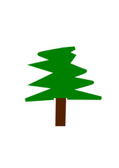 Fototapeta premium a spike tree