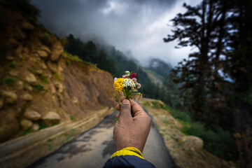 Hand holding a small wildflower bouquet against a scenic mountain in Barot Valley, Himachal...